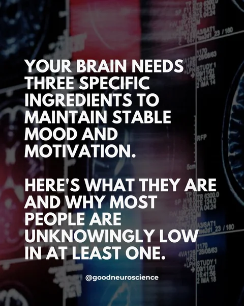 First slide of a carousel by @goodneuroscience