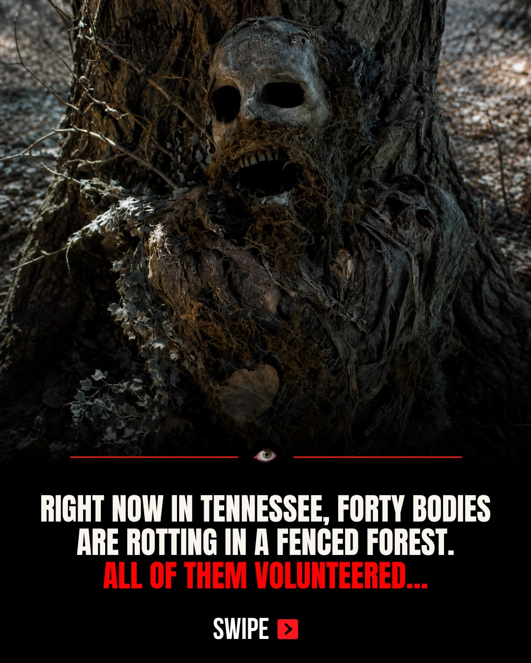 First slide of a carousel by @terrifying_archive: RIGHT NOW IN TENNESSEE, FORTY BODIES ARE ROTTING IN A FENCED FOREST. ALL OF THEM VOLUNTEERED...
