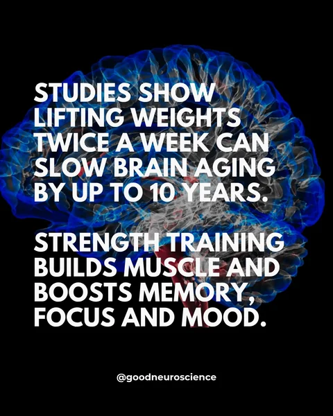 First slide of a carousel by @goodneuroscience