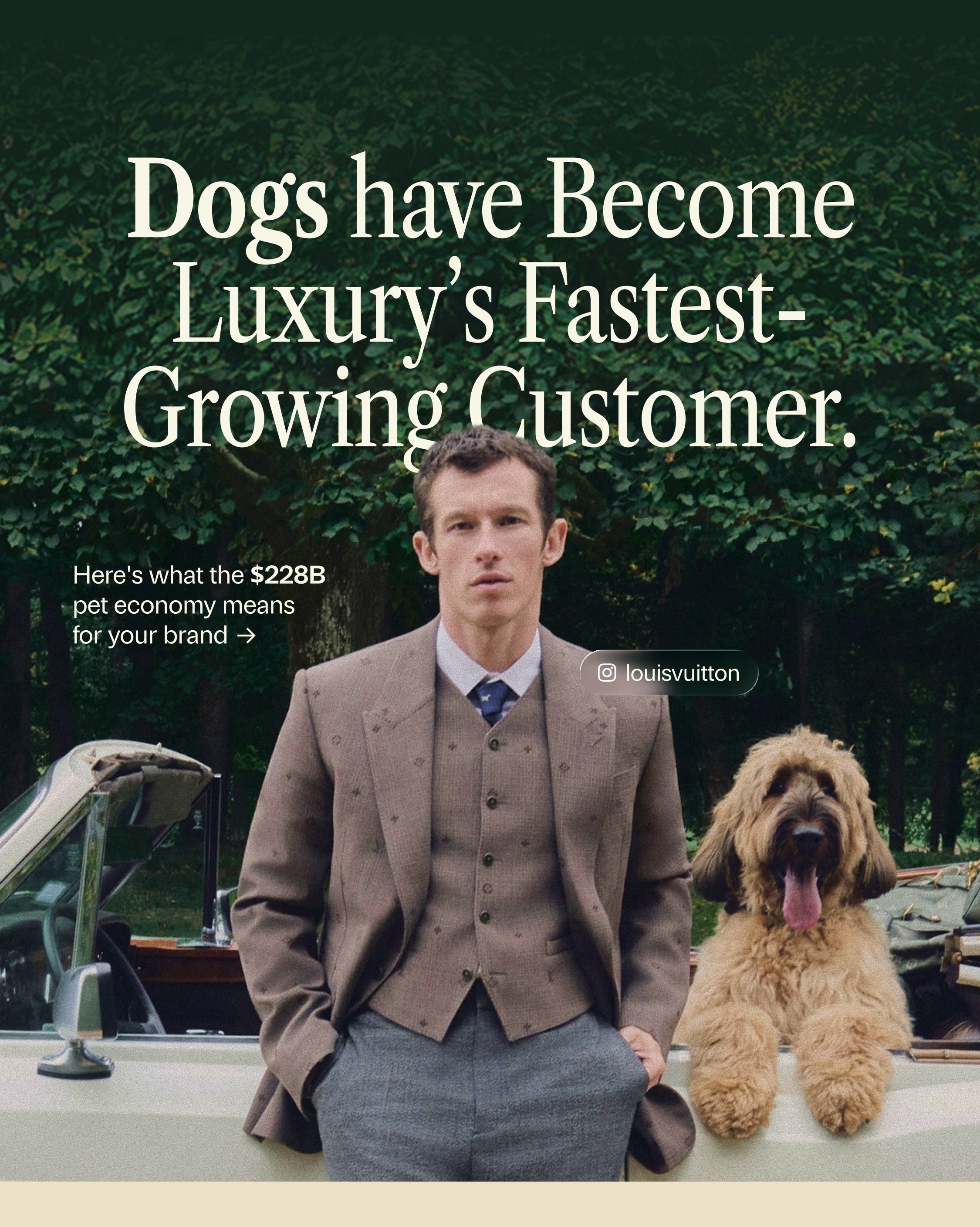 First slide of a carousel by @camillemoore: Dogs have Become Luxury's Fastest-Growing Customer. Here's what the $228B pet economy means for your brand