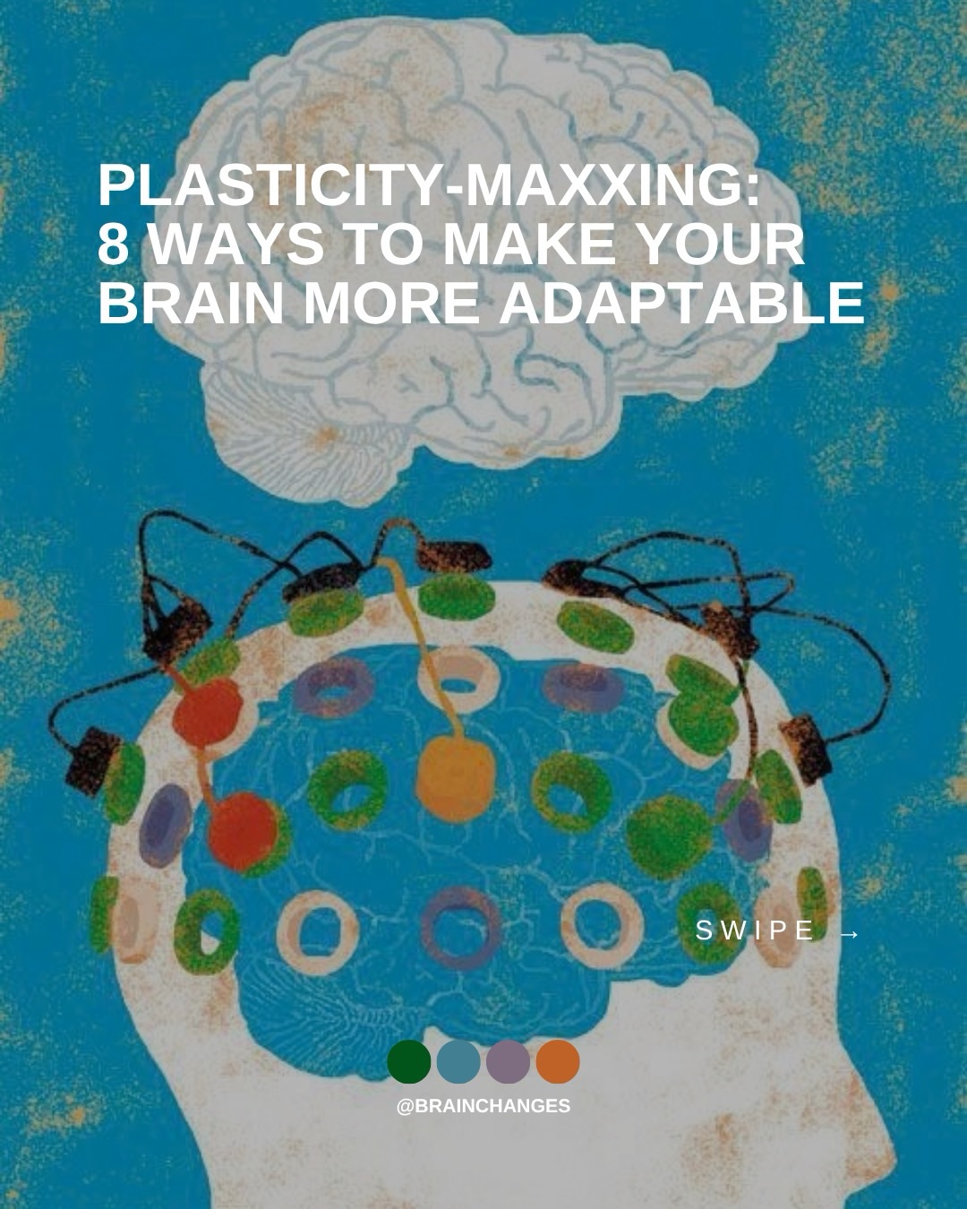 First slide of a carousel by @brainchanges: PLASTICITY-MAXXING: 8 WAYS TO MAKE YOUR BRAIN MORE ADAPTABLE